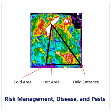 risk-mgmt-disease-pests.png