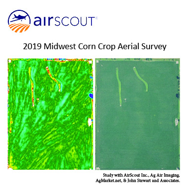 Corn-study-2019.jpg